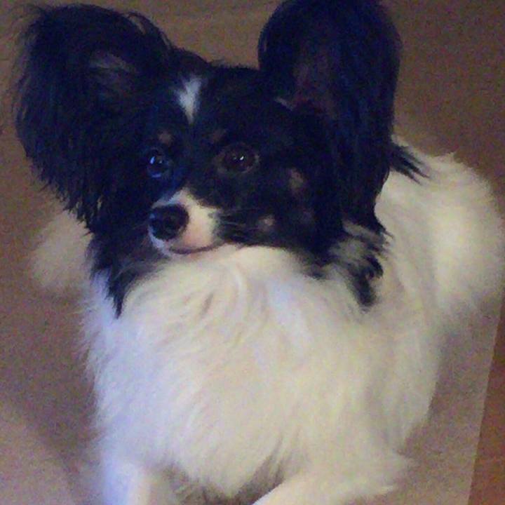 713b1af1 fa69 4402 b1b4 ad7e15bc1411