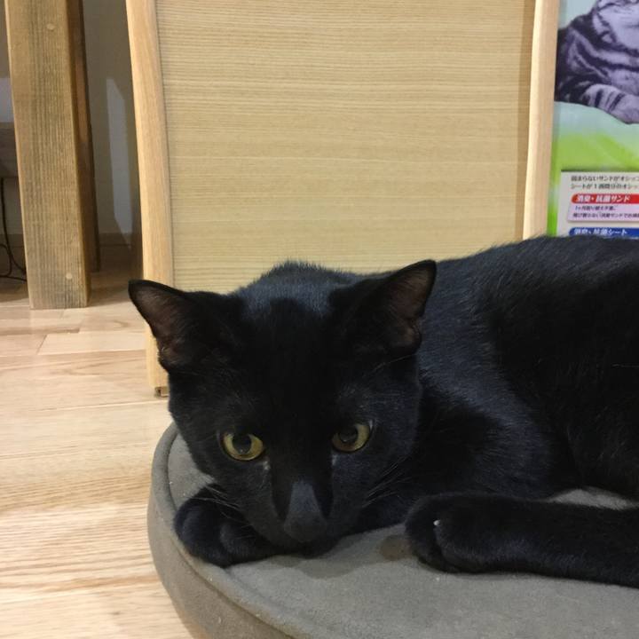 713b6084 ac9c 465a 838a 2dcac0b4d446