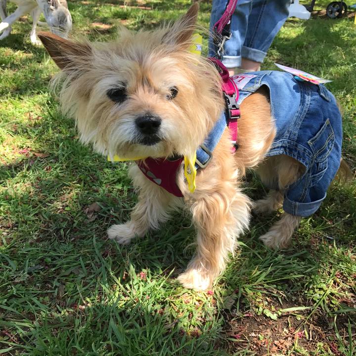 713b92a3 bb85 4b00 a9fa ec204441c8d9