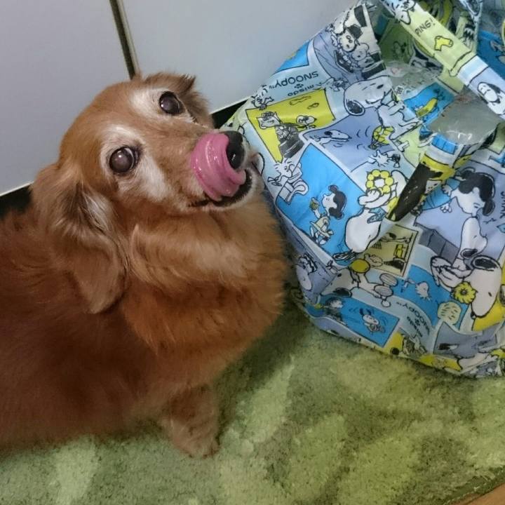 713babc7 b14a 48be b693 79b5b8f67867