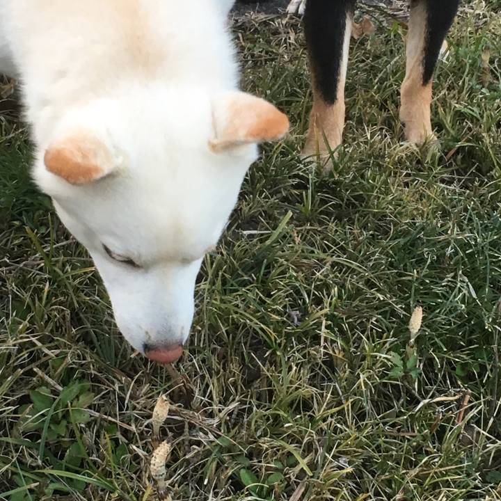 713bcfcb c949 49eb a83e b262a5f52a7c