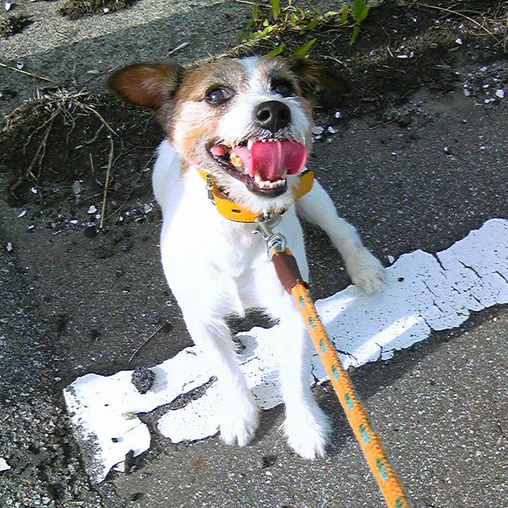 713bf764 63ef 4e70 8c74 9e607edc321a