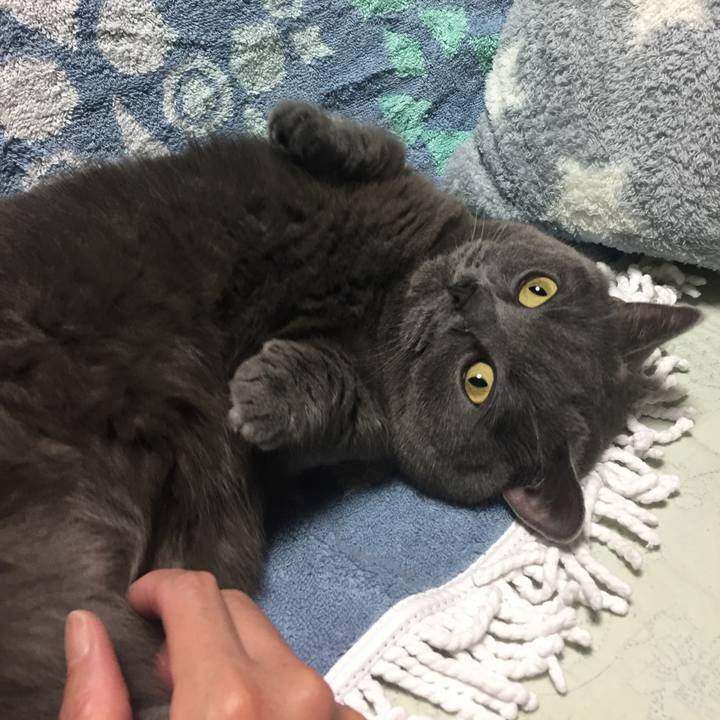 713c5359 8220 4474 b250 8b8477d4bcdd