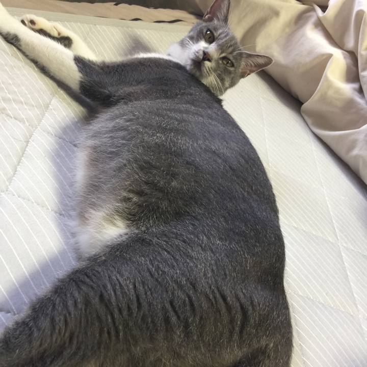 713c66d9 4c32 4a2f a3e6 354c550d03fa