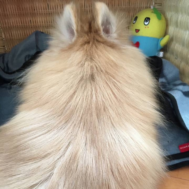 713d4081 2b33 47ee 8d89 6d9530324e25