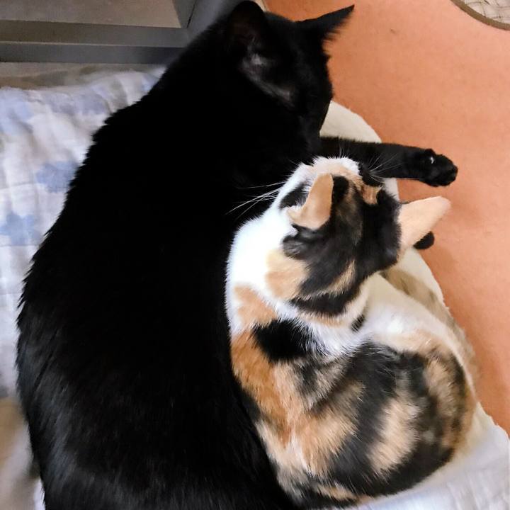 713d77a6 d05e 4498 a394 089ddb983160