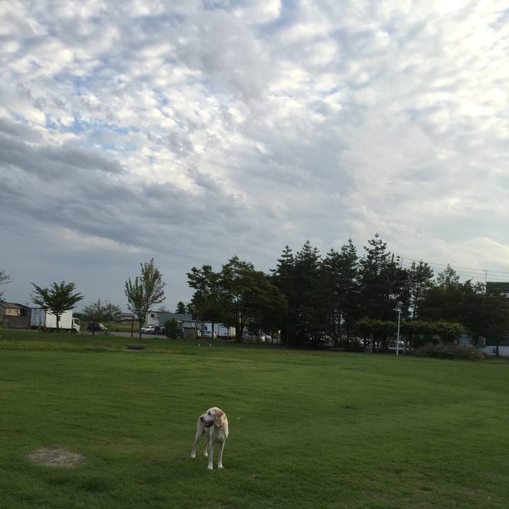 713de417 3bfa 4762 8ad2 225cc7cf525f