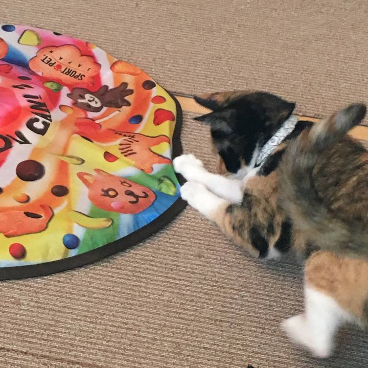 713de98b 57cc 4cb8 8284 a0b14da7434c