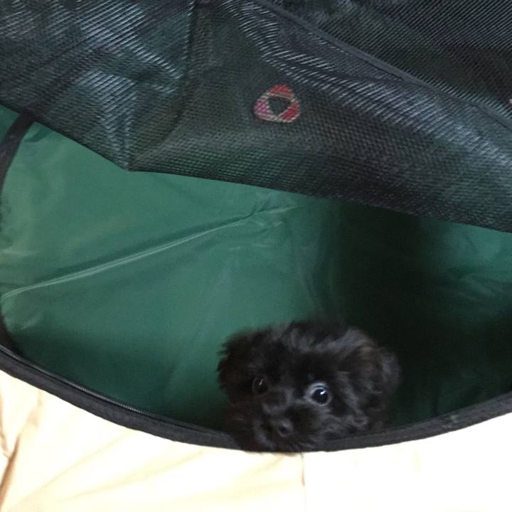 713df348 4f37 4104 821a ce6d90f94998