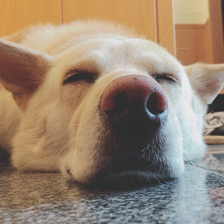 713df55b a0b6 4213 a7e9 64fea9bca3ba