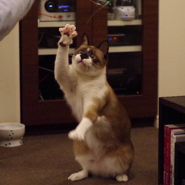 713e2ccc cc79 4458 81e2 bab77af82313