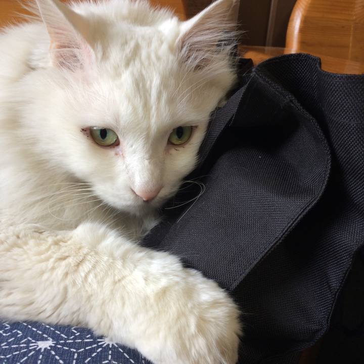 713e7670 ea7d 4223 aaae f1e8123a62e2