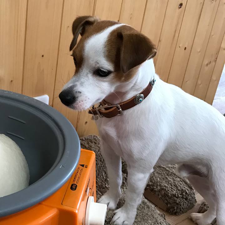 713f5c15 d440 40d7 a250 c0e312338c91