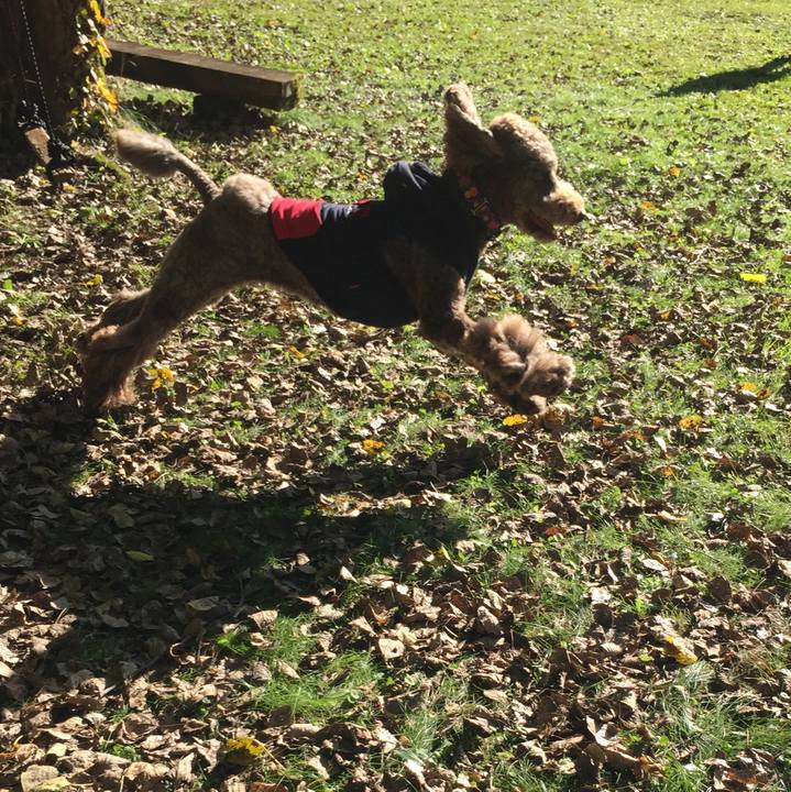 713f79ef 7a61 4ae5 a18f f75b761c97e1