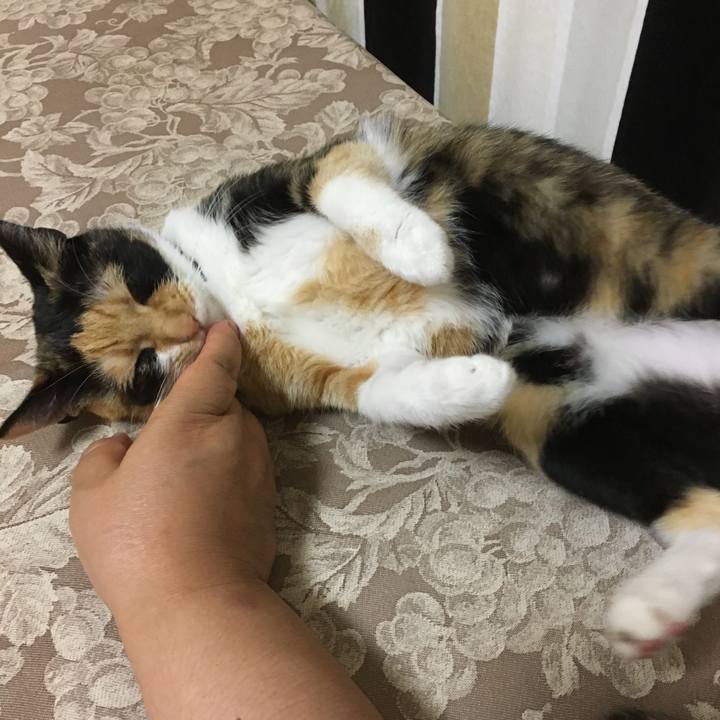 713fbea4 1662 412d 980a cab81984cd78