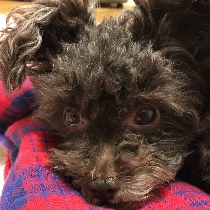 71402ce9 f4ad 4d4e b98f 1b9cf9d2a416