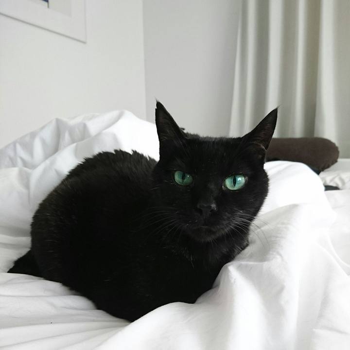 7140c227 7773 4a35 88a4 948a97bfe3d2