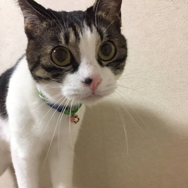 7141a333 5779 4bb2 b406 bcb985c6f1c0