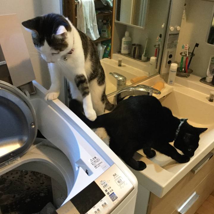 7141ad79 28f8 410d afe9 a2cdf0c49ed6