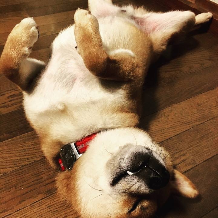 71428ead b8a5 4a2a a0fb 060e5e0ec759