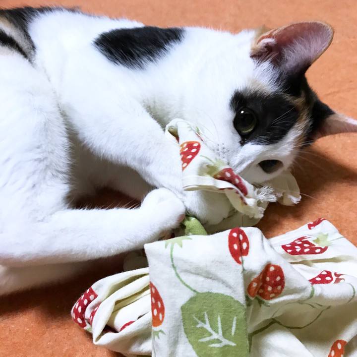 7142bbdc 83f7 42e1 b80f 5f4dbca201e3