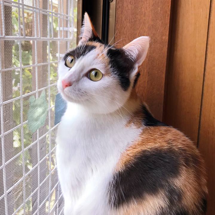 7142edab 0d4f 4d97 afba 4cee72c11de5