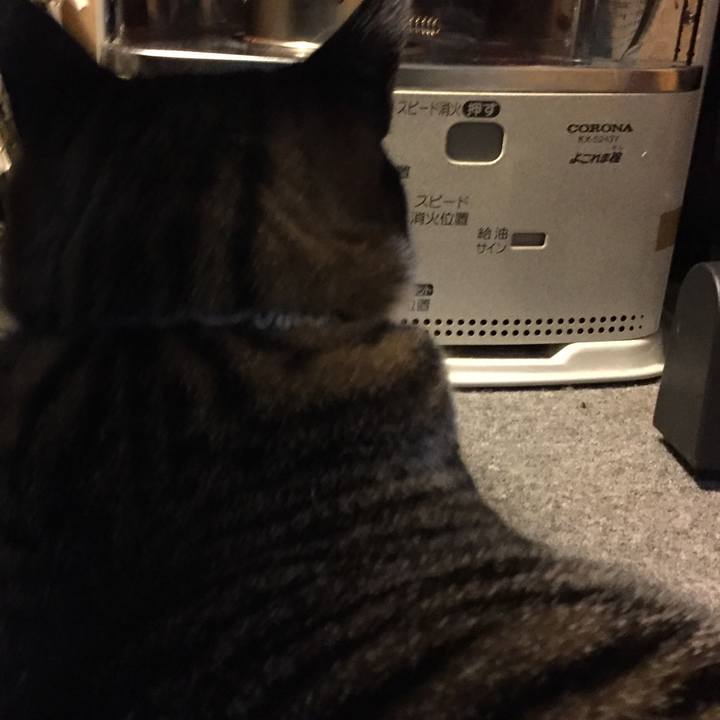 7143e656 b22b 475d 953d 75ad1879f38f