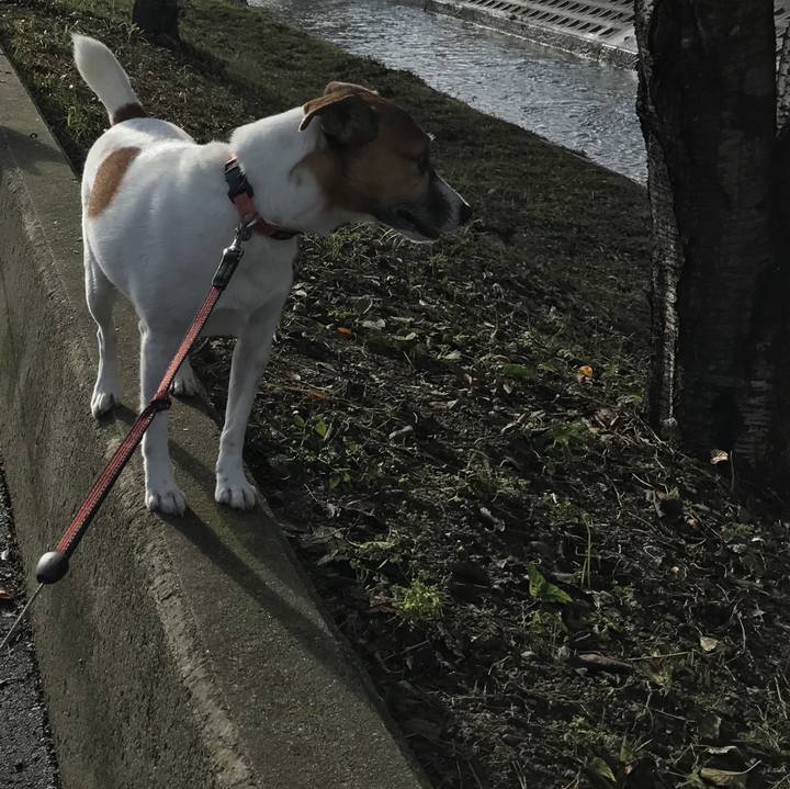 7146f34f 5793 4ee8 a9ed f9681048ee6f