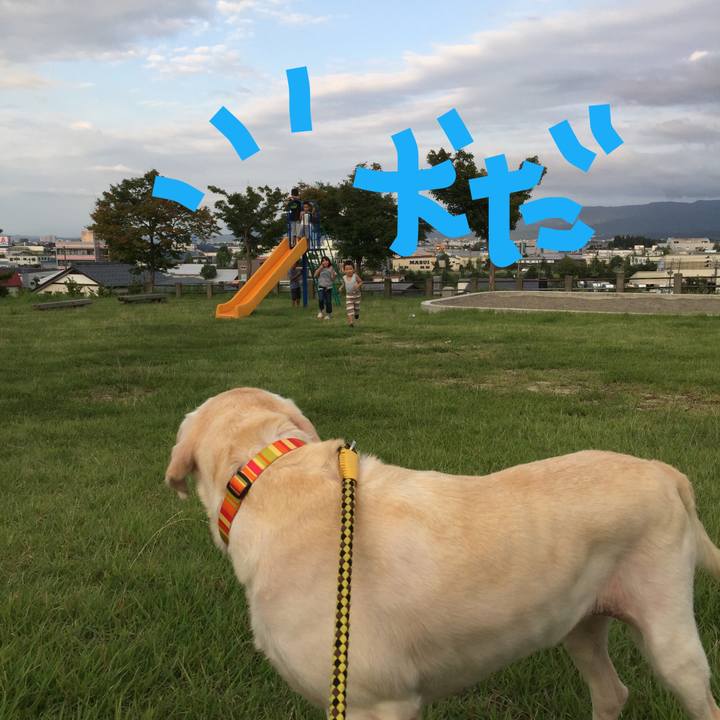 7147a6fe 01a3 4542 a4e8 c1675679df16