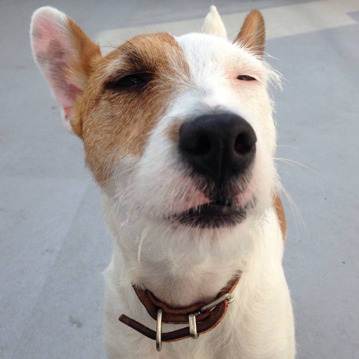 7147e3e3 b12f 413a 8acd e003023c1767