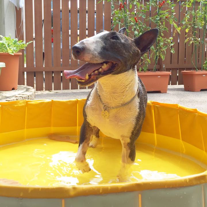 7148bae5 8ff1 4b84 b5c6 0df08634dc00