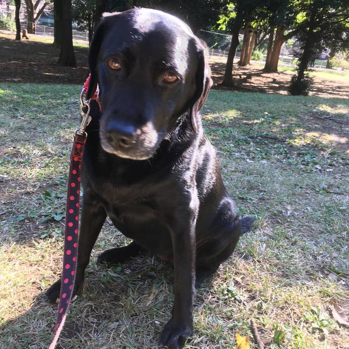 7148ce3e cffd 4c95 a23d 3e1aeeb1195a