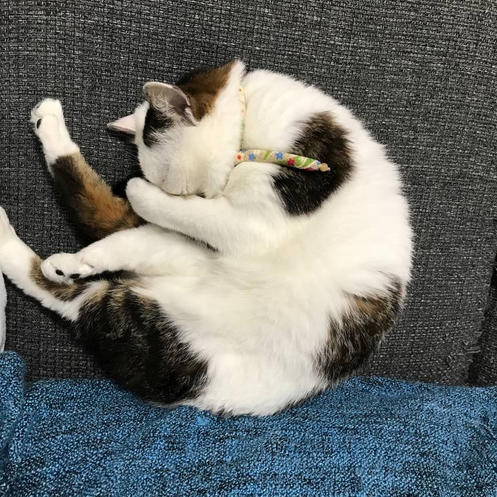 714926e3 d897 4294 94a3 1e154cd59c8f