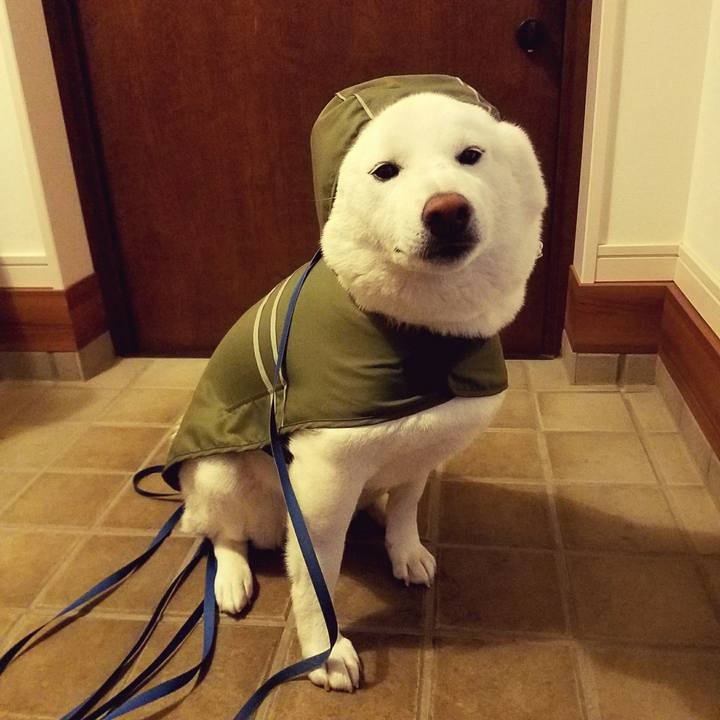 71498688 6436 4f48 9f92 b11b7d2fc5ac