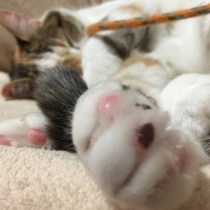 71498eb5 5da5 4904 a227 dcfbbb58a7f3