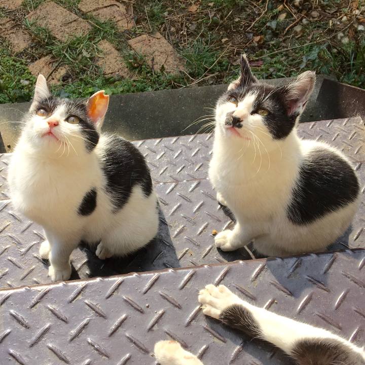 714bbc5e f0a4 4fd5 b7a0 50535274f1b4