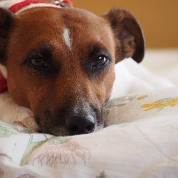 714bffaf dc4a 4afd 80a6 b1538a76814a