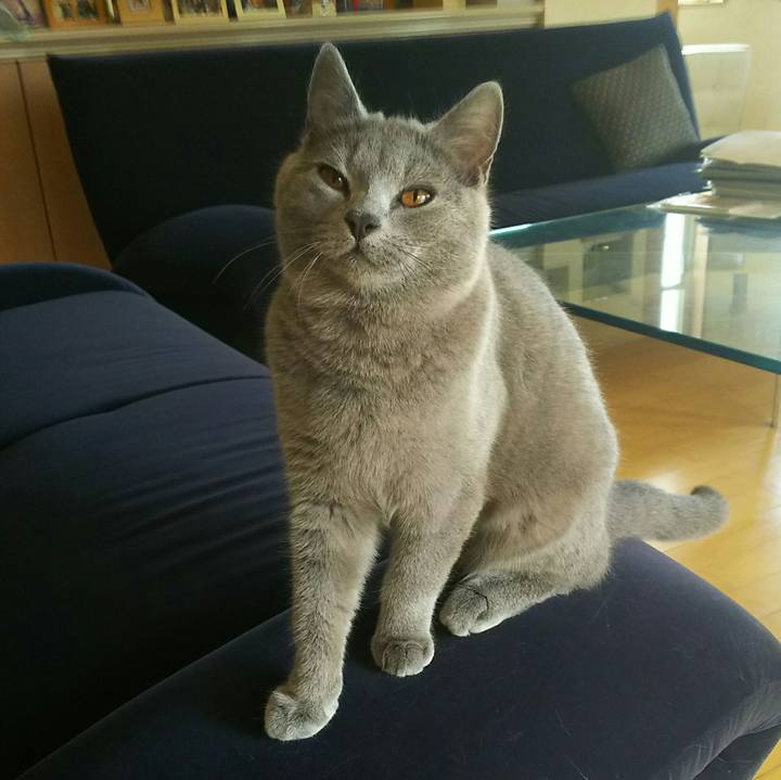 714c069d 838e 4c6d b3bc 42112d6a9040