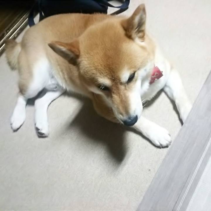 714c1fb7 8c31 48bf b046 7c501743c581