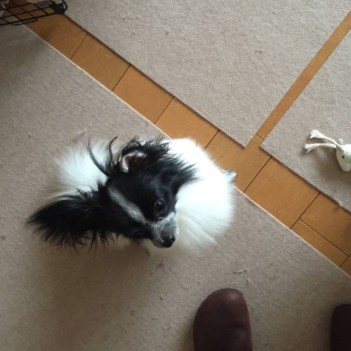 714c2378 c7be 49eb ba5f cc55b48b9903