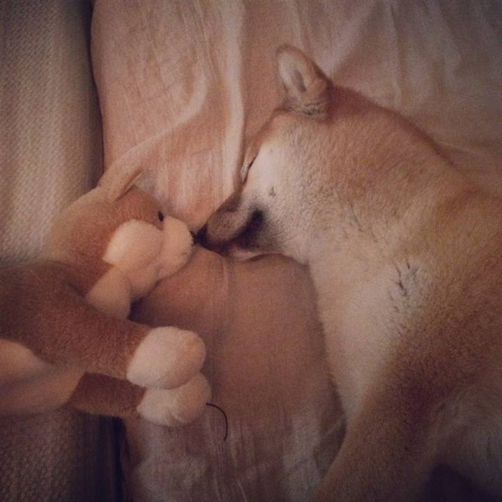 714c8aa8 8d0f 4d8b bb79 1d09295bf1dc