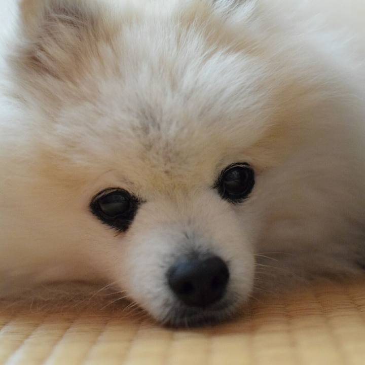 714c8b0d ac44 4f82 a323 5fb7707d5f6f