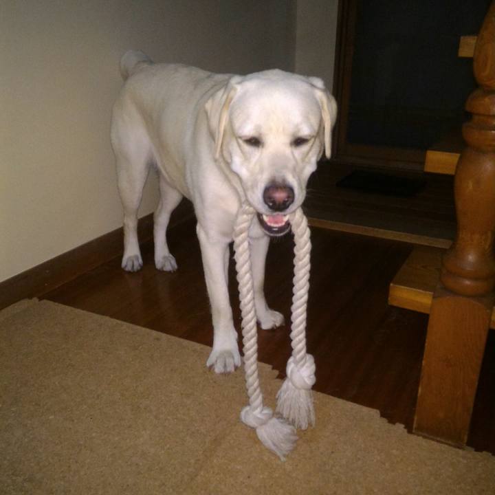 714c9ae5 c3bc 43ba a789 d7ab6563fd4e