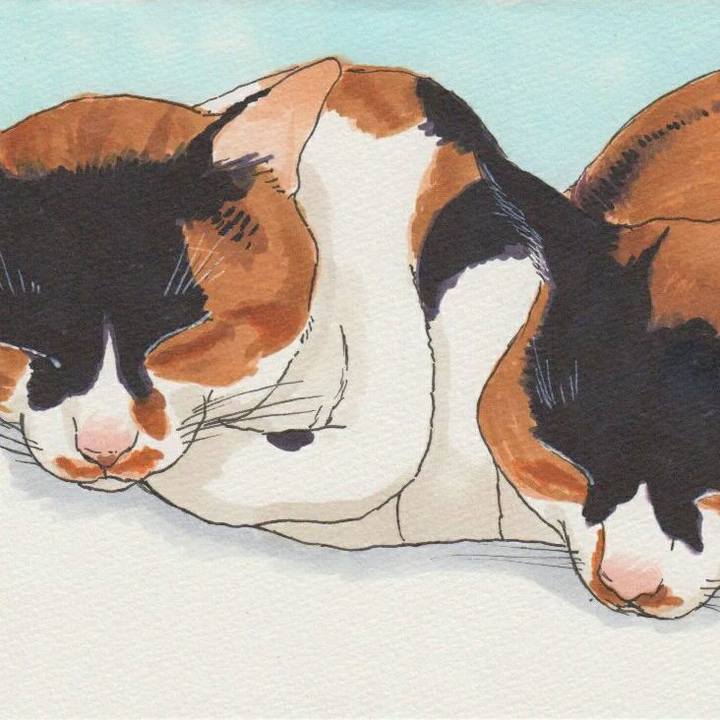 714cc01a 0459 446f beb7 eb356490f581