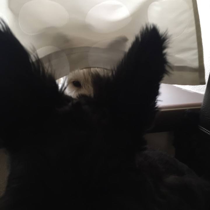 714cd26d 1497 4a86 b1e1 307f678bf652