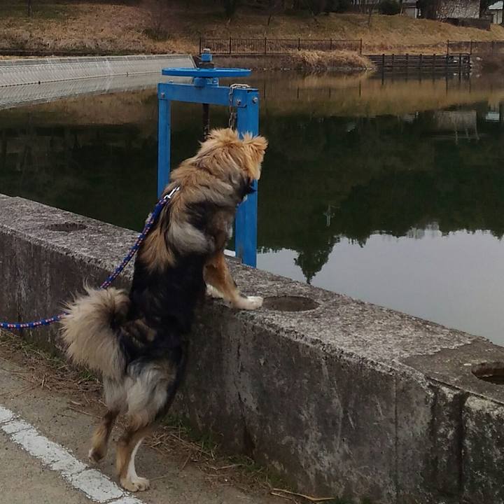 714ce504 0e2a 4fbd b84f 330673181937