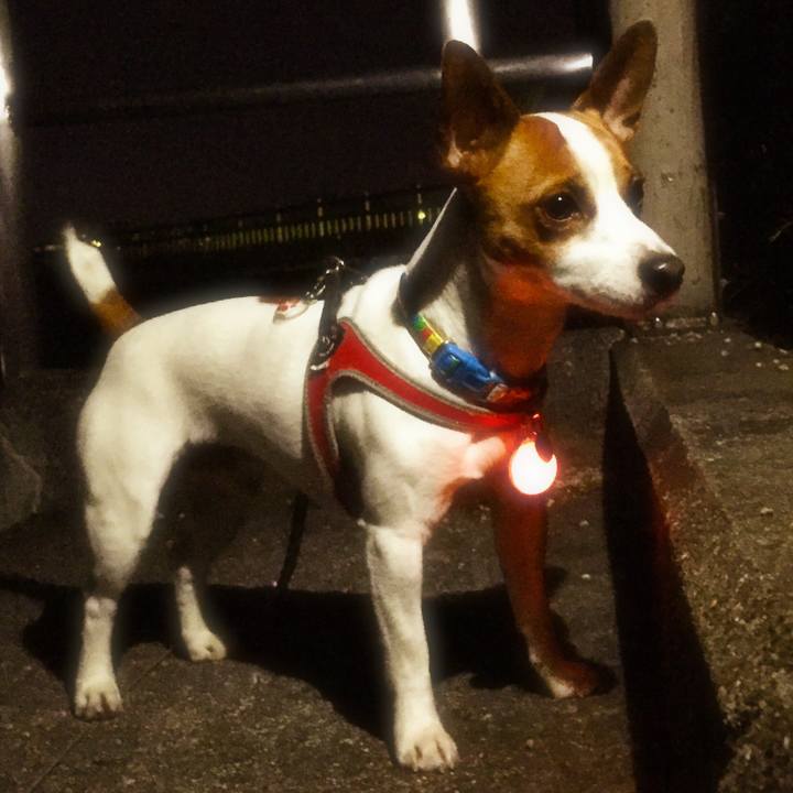 714ddd5a 771d 41e9 a0a3 970491979c58