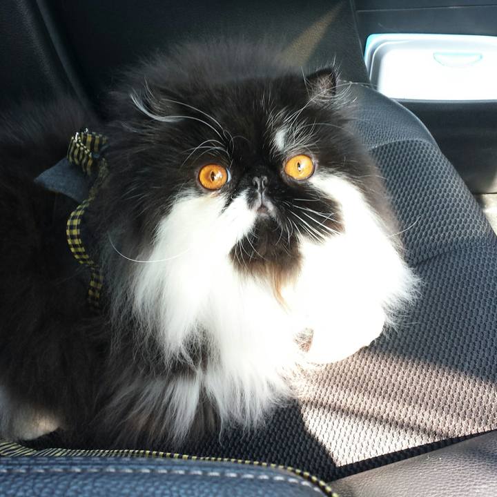 714e6606 2675 4cfd a481 d07563a5aab7