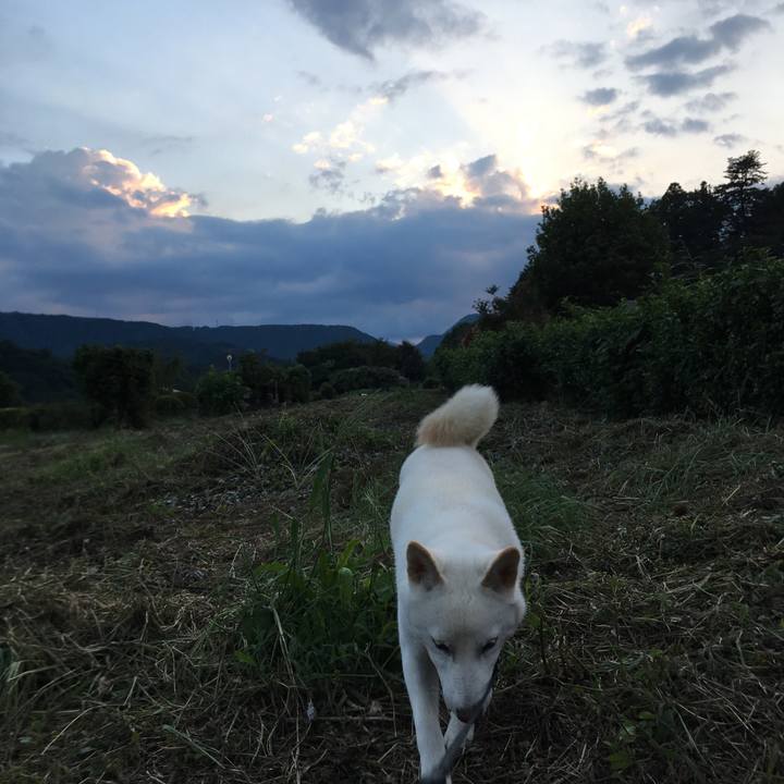 714e936a a5be 4347 902a 9e7a2296400e