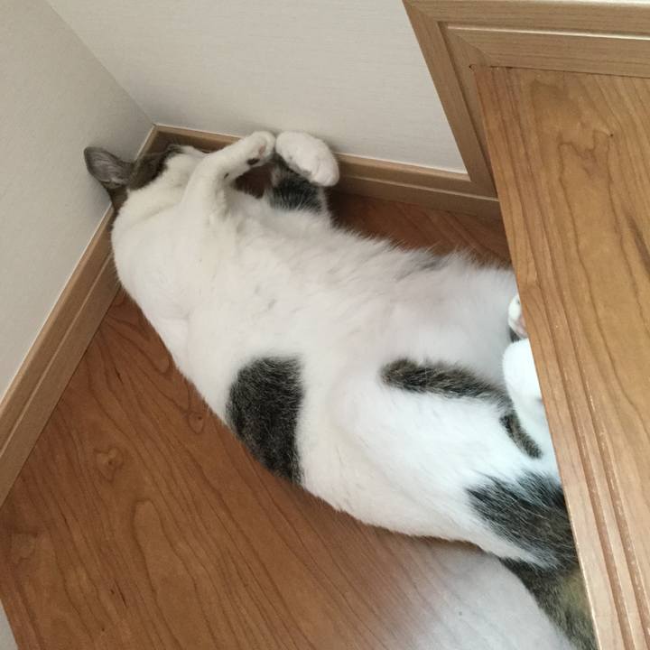 714ec2d3 a457 4ddd b2c7 904736a3cf9d